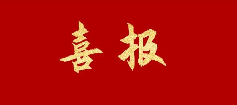 熱烈祝賀子龍學(xué)校李文同學(xué)在跆拳道世錦賽榮獲金牌